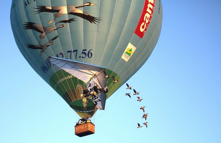 Vol en Montgolfière avec les oiseaux migrateurs