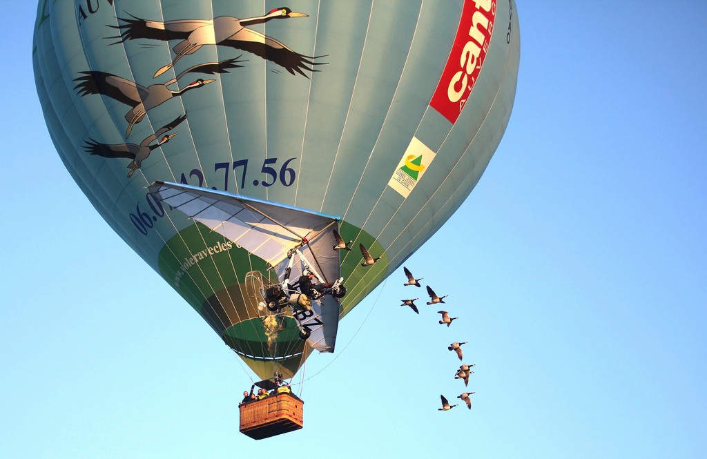 Vol en Montgolfière avec oiseaux Cantal Voler avec les oiseaux Cabanes arbres Cantal