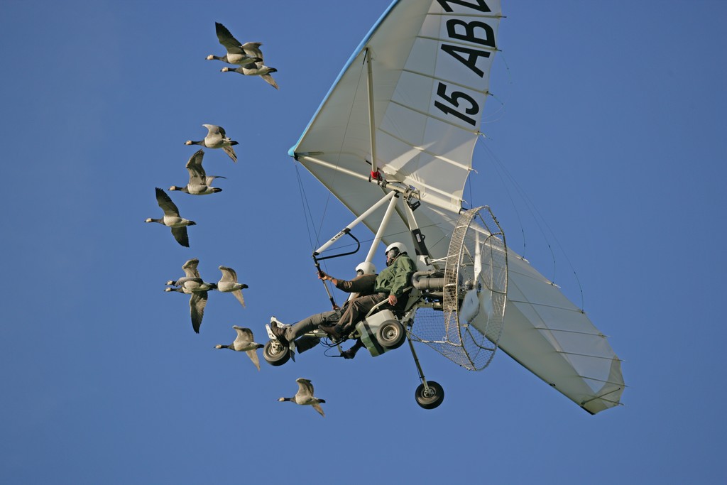 Vol en Ulm avec les oiseaux Voler avec les oiseaux Cabanes arbres Cantal
