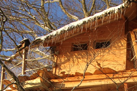 Cabane Perchée dans les arbres Cantal Auvergne en hiver