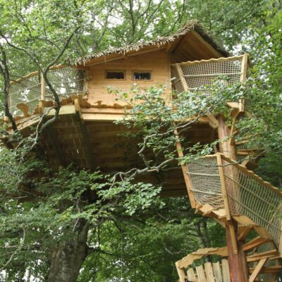 CABANE ARBRE MIGRATEUR