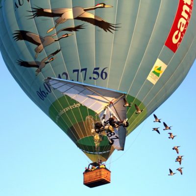 Vol en Montgolfière avec les oies Cantal