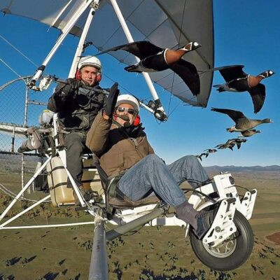 Voler avec les oiseaux de Christian Moullec