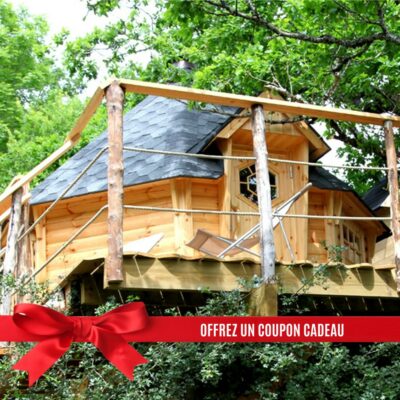 Bon cadeau cabane dans les arbres