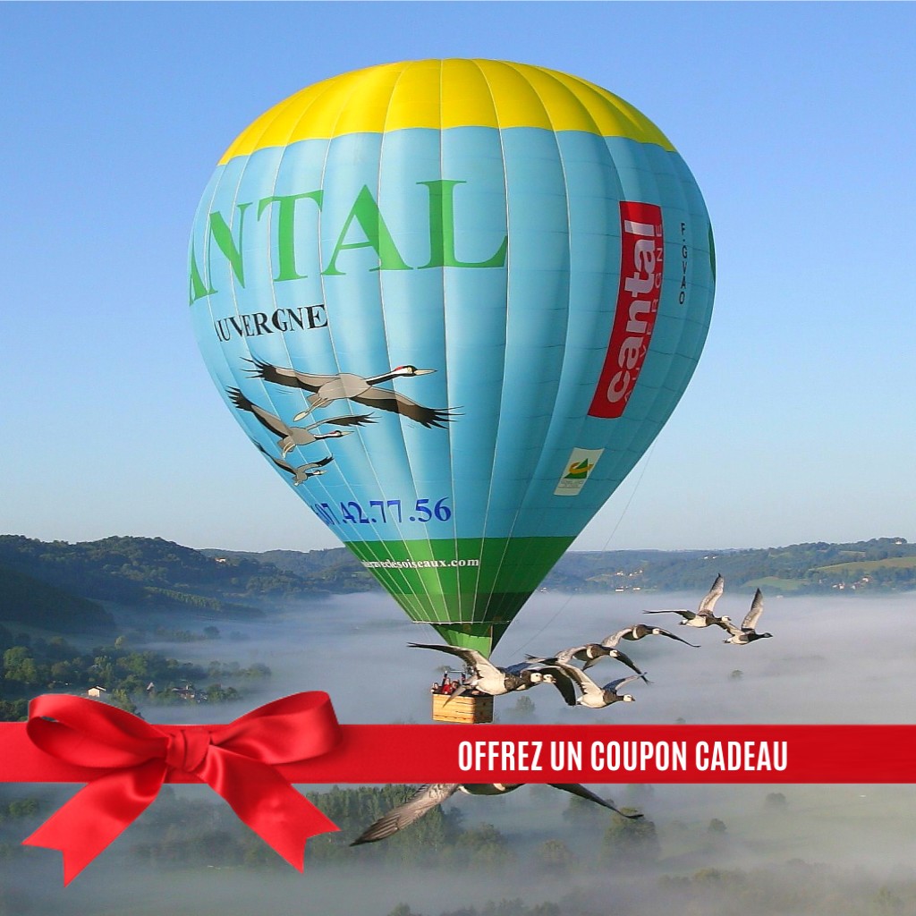 Bon Cadeau Vol En Montgolfiere Avec Les Oiseaux
