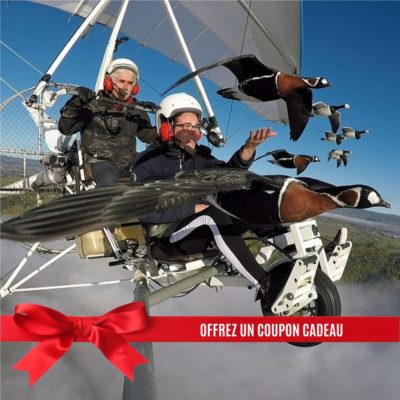 Bon cadeau vol en ulm avec oies