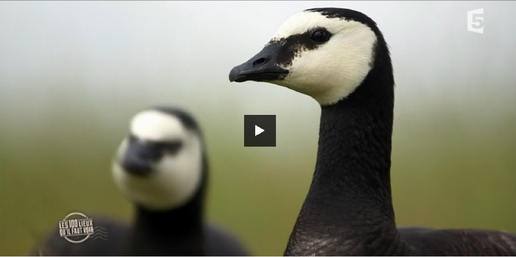 100 lieux voir Cantal Bernaches ULM