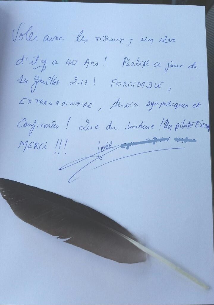 Avis vol avec les oiseaux