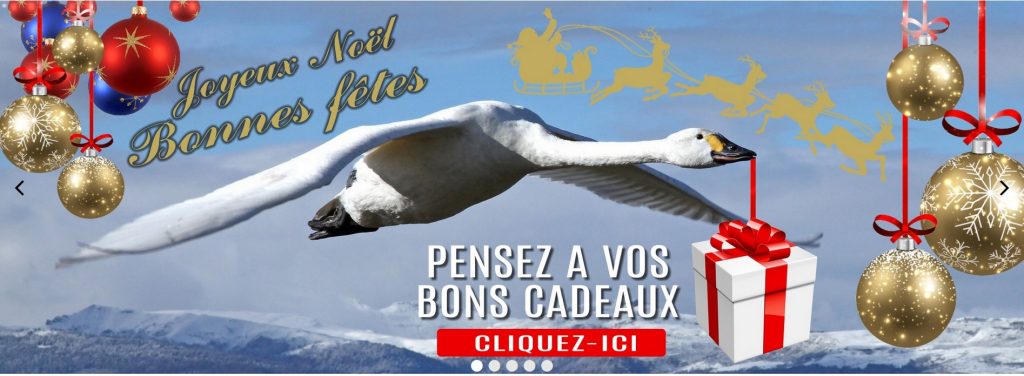 Un cadeau de Noël hors du commun