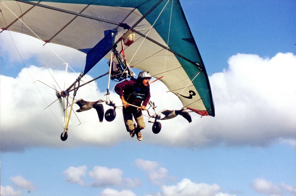 christian-moullec-vol-oie-ulm