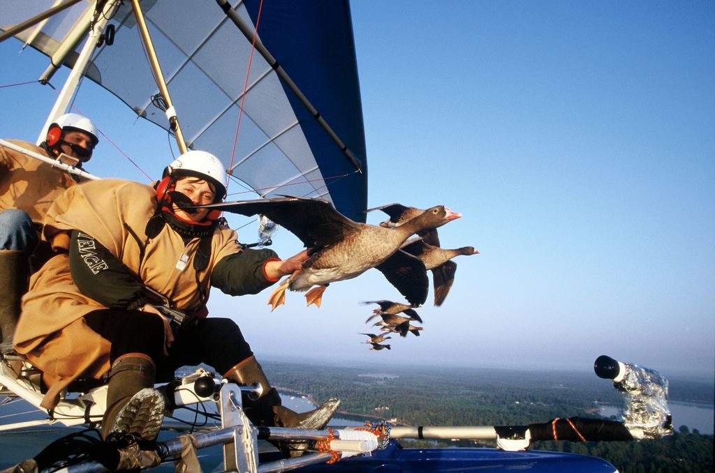 Christian Moullec, Voler avec les oiseaux