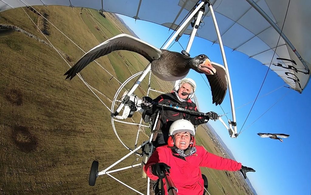 Paola et Christian vol oie