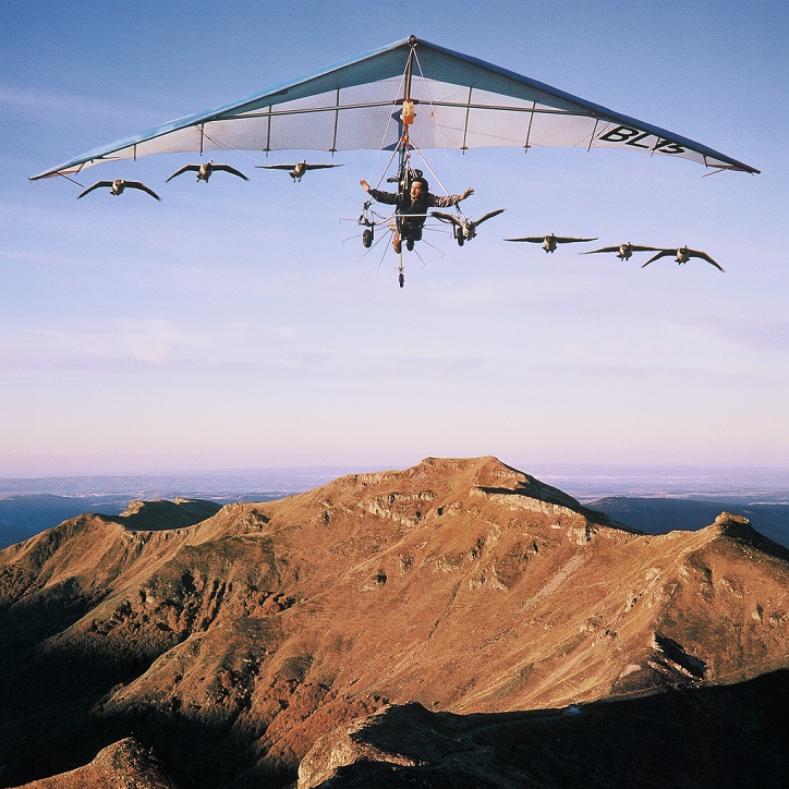 Evasion en aile delta avec les oiseaux