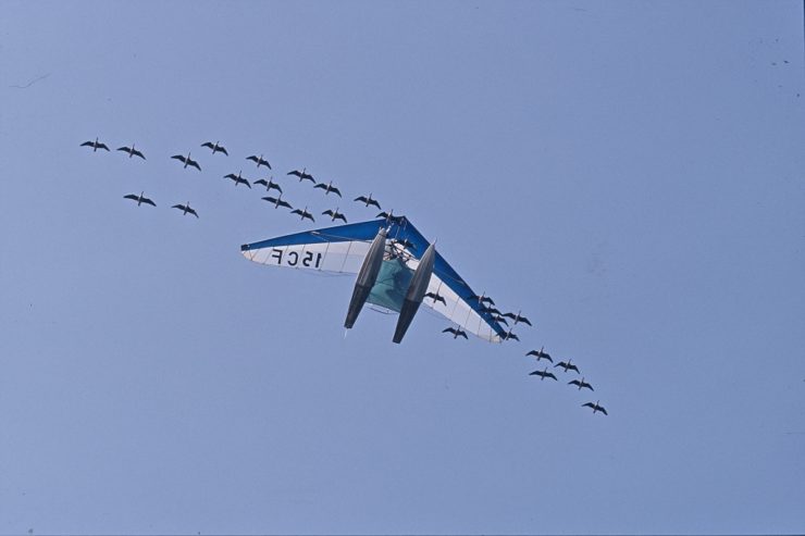 ULM biplace flotteurs 33 oies naines