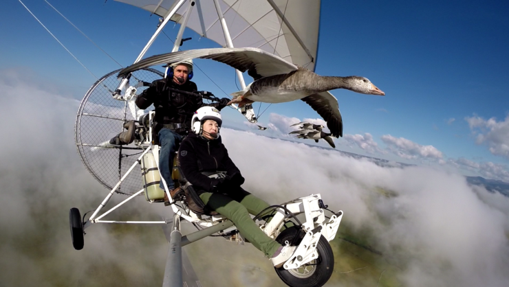 passagers ULM biplace avec les oies