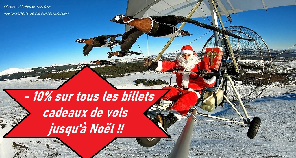 Noël cadeaux vols oiseaux ULM montgolfière