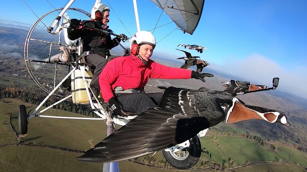 vol avec les oies cadeaux Noël