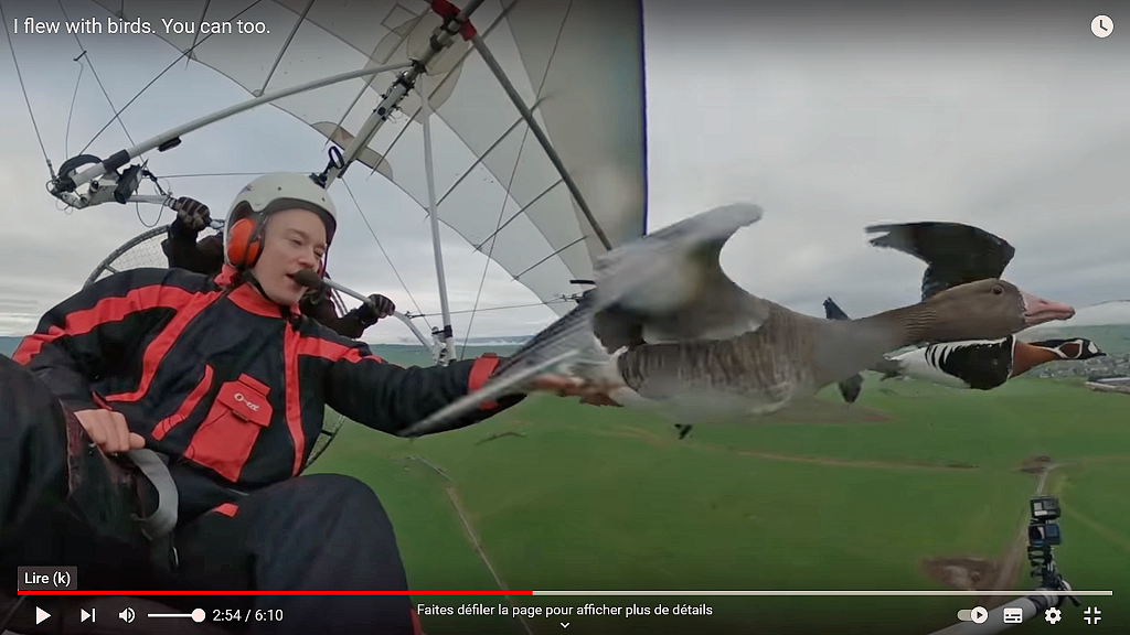 Tom Scott - Christian Moullec: vol evac les oies