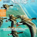 Terre Sauvage 2000