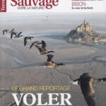 Magazine Terre Sauvage