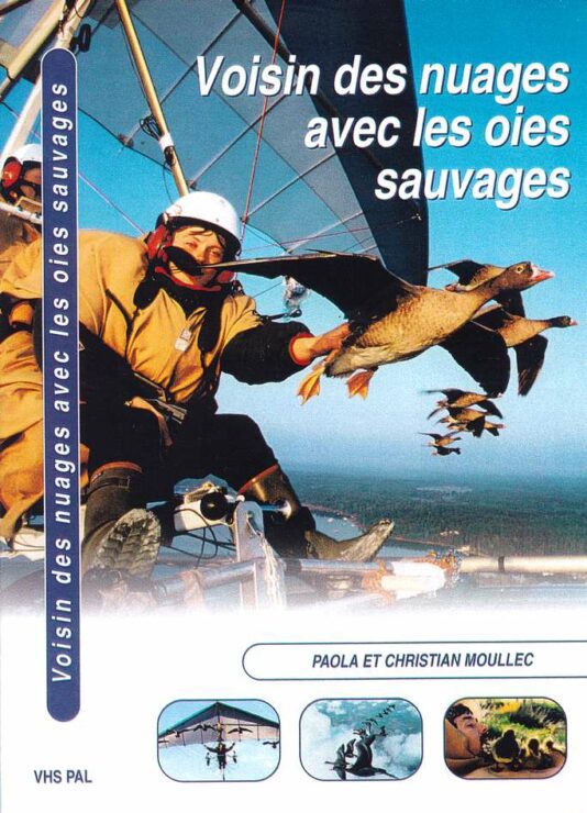 Voisins dans les nuages Oies Sauvages