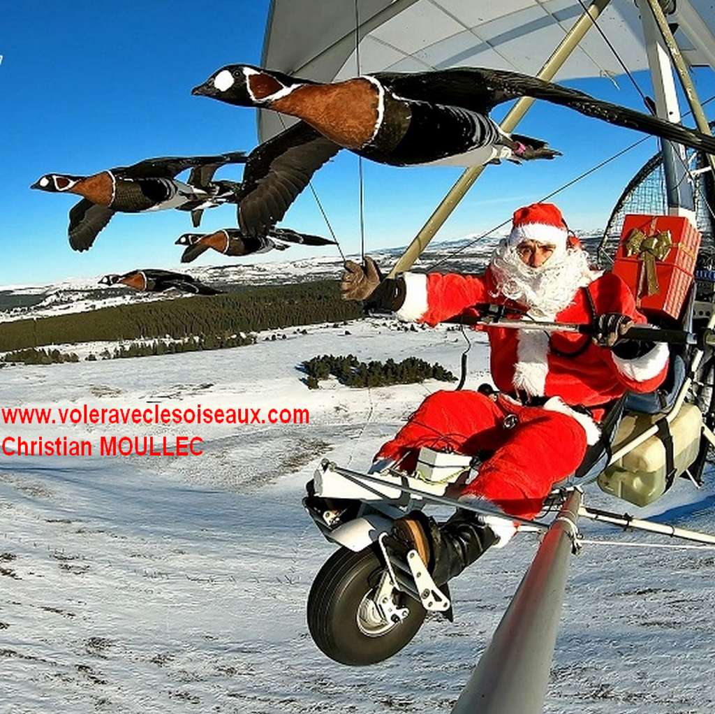 Père-Noël avec les Oiseaux