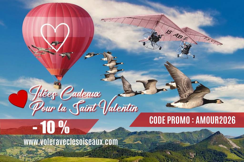 Saint Valentin - offrez un vol en ULM avec les oiseaux