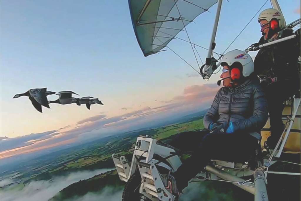 Vol en ULM avec les oies sauvages en Auvergne